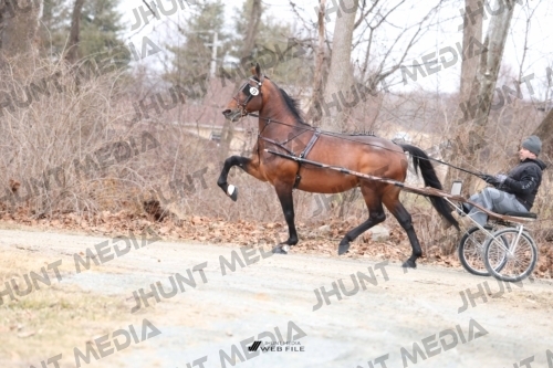 SBSP2025-JHM-0348