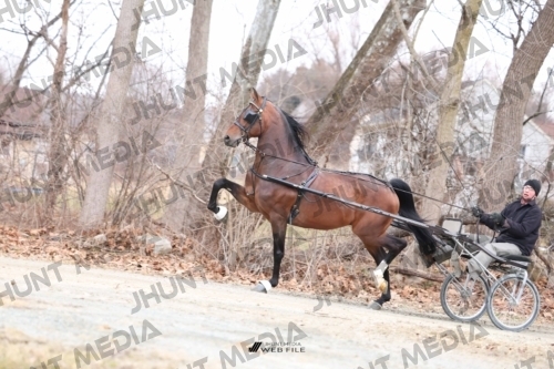 SBSP2025-JHM-0281