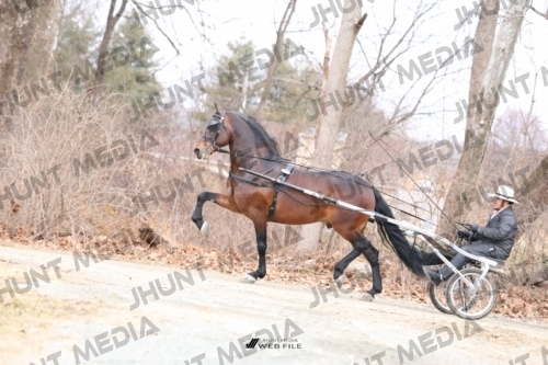 SBSP2025-JHM-0599