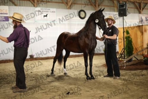 JHM_0039