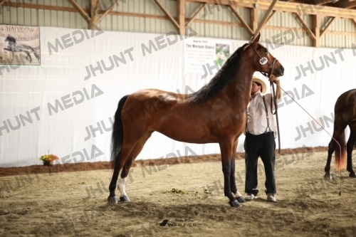 JHM_0057