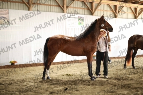 JHM_0058