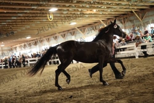 JHM_0083