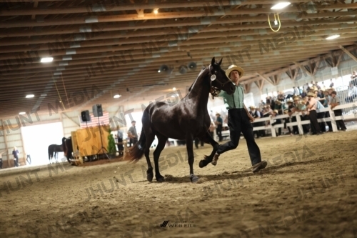 JHM_0087