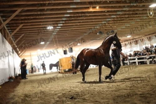 JHM_0088