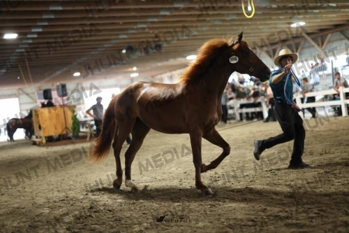 JHM_0104