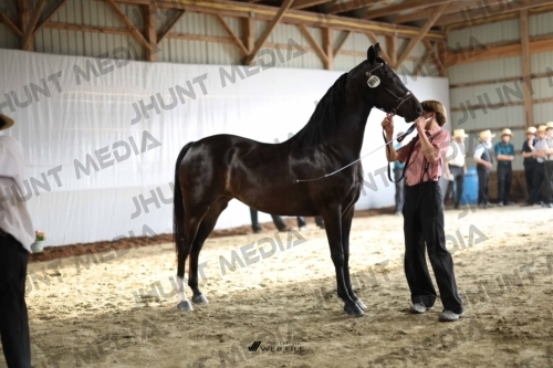 JHM_0163