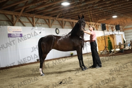 JHM_0257