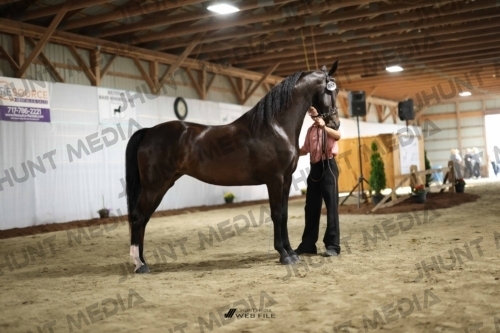 JHM_0259