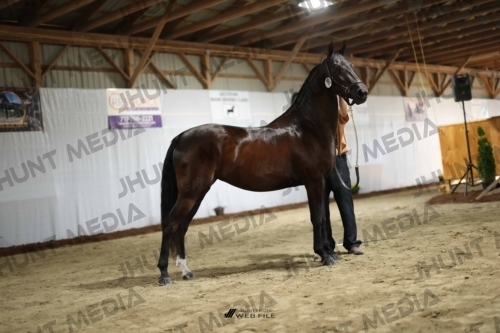 JHM_0287