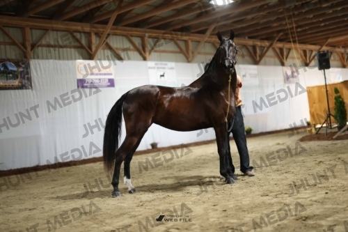 JHM_0289