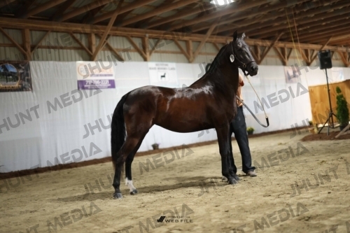 JHM_0290