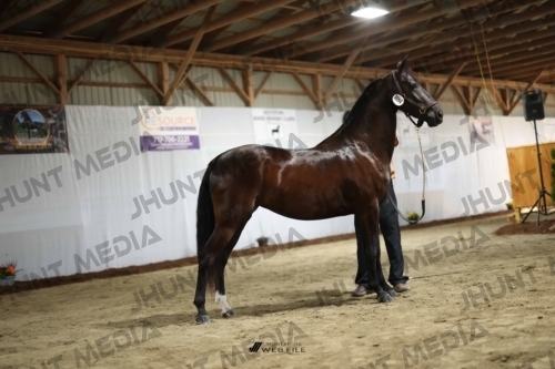 JHM_0297