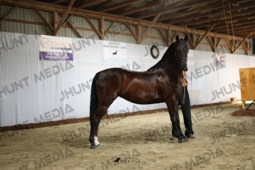 JHM_0323