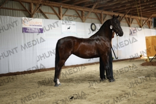 JHM_0326