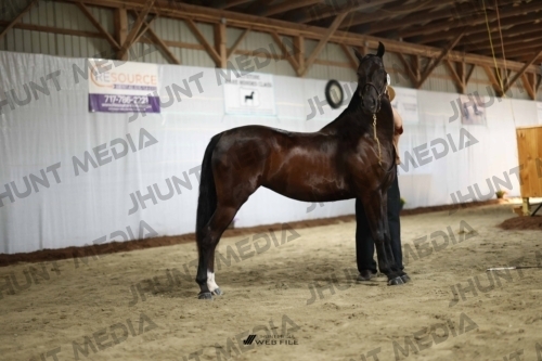 JHM_0327