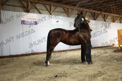 JHM_0328