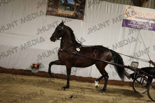 JHM_1132