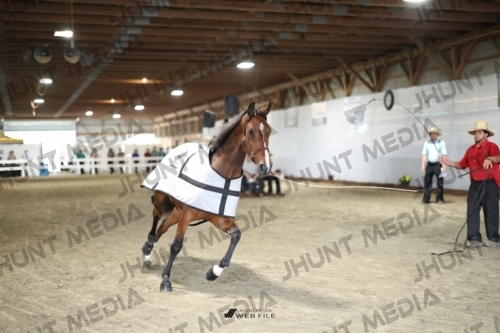 JHM_1144