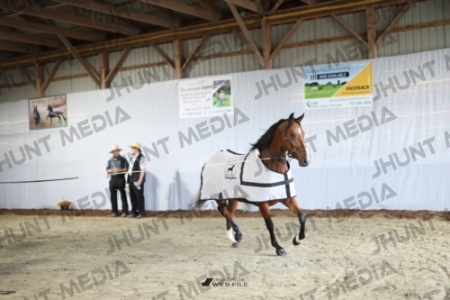 JHM_1147