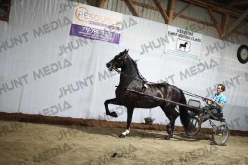 JHM_1169