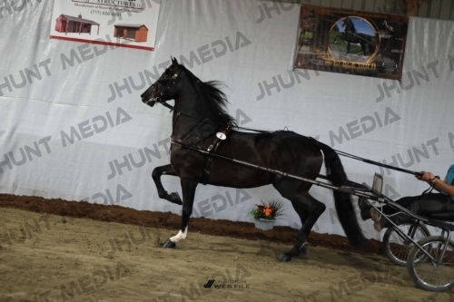 JHM_1171