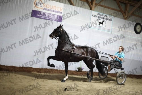 JHM_1173