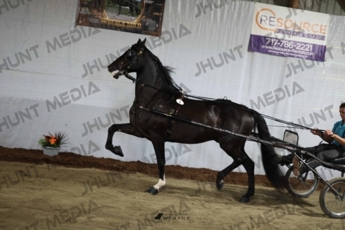 JHM_1174