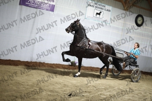 JHM_1175