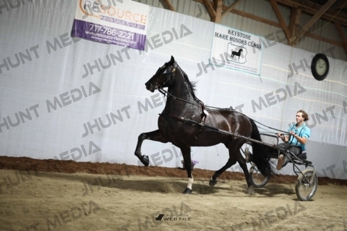 JHM_1176