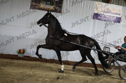 JHM_1177