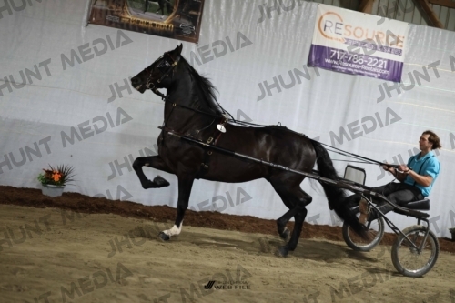 JHM_1179
