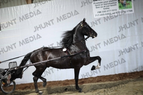JHM_1181