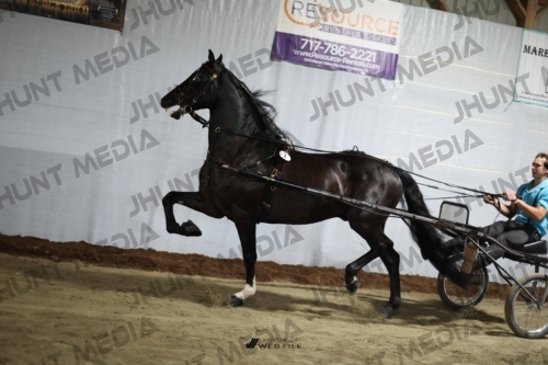 JHM_1185