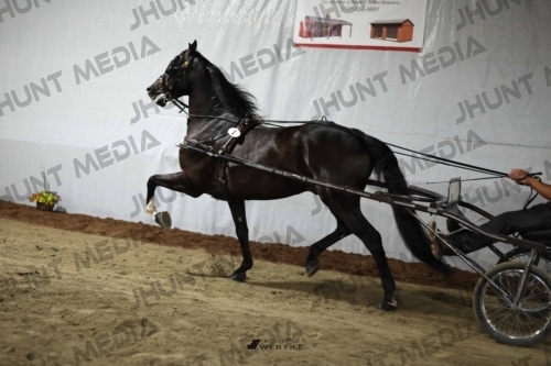 JHM_1186