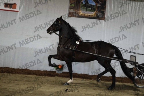 JHM_1188