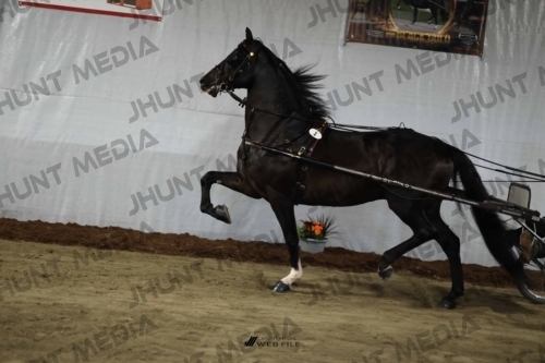 JHM_1190