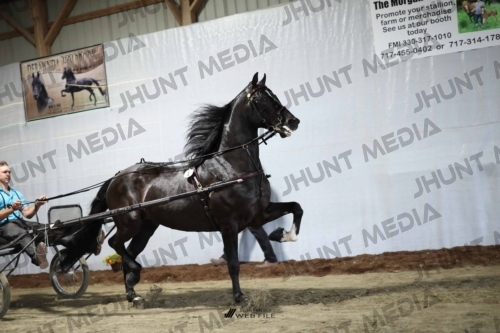 JHM_1193