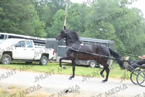 JHM_0762
