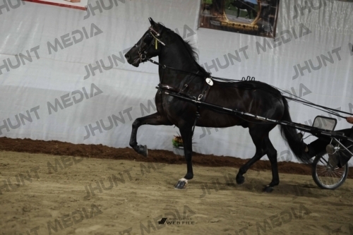 JHM_1203
