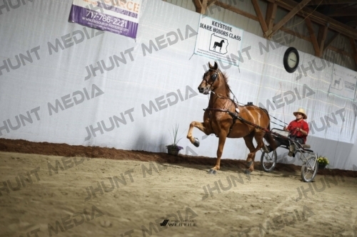 JHM_1211