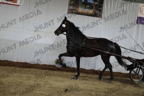 JHM_1215