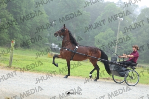 JHM_0668