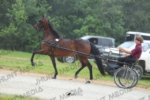 JHM_0679