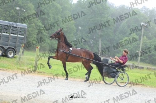 JHM_0700