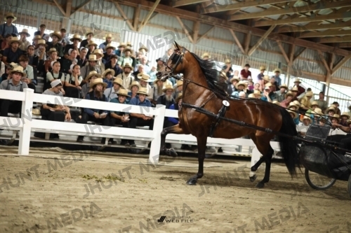 JHM_1227