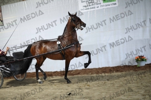 JHM_1231