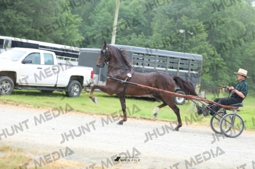 JHM_0784