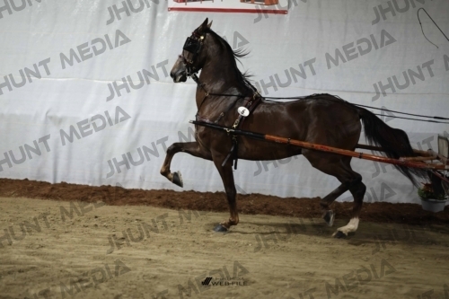 JHM_1241