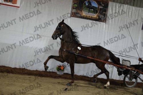 JHM_1246